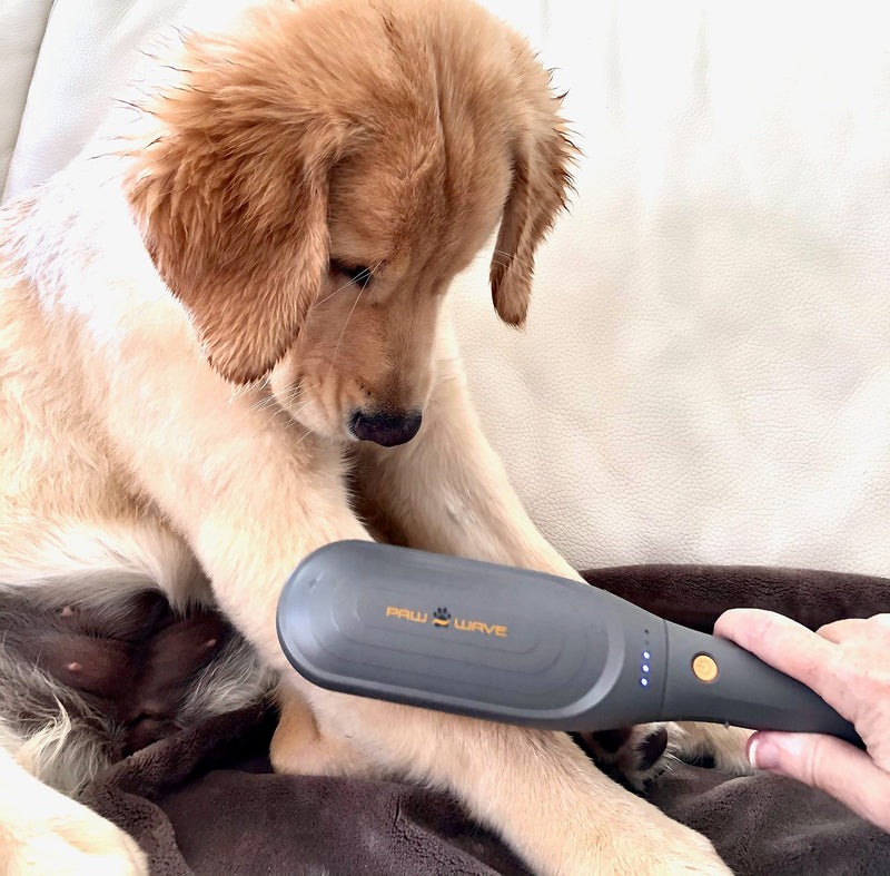 Buzz Therapeutic Brush Vibration Pet Massager for Dogs and Cats Designed to Help Soothe Tension, Increase Circulation and Relieve Tight Muscles - PawsPlanet Australia