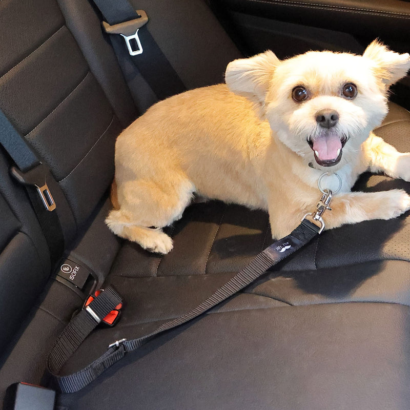 Mr. Pen- Dog Seat Belt, 2 Pack, Adjustable Dog Seat Belt for Car, Dog Seatbelt, Dog Car Seat Belts, Seat Belt for Dogs in Car, Dog Car Seat Belt, Dog Car Leash, Dog Seatbelt Harness, Pet Seatbelt - PawsPlanet Australia
