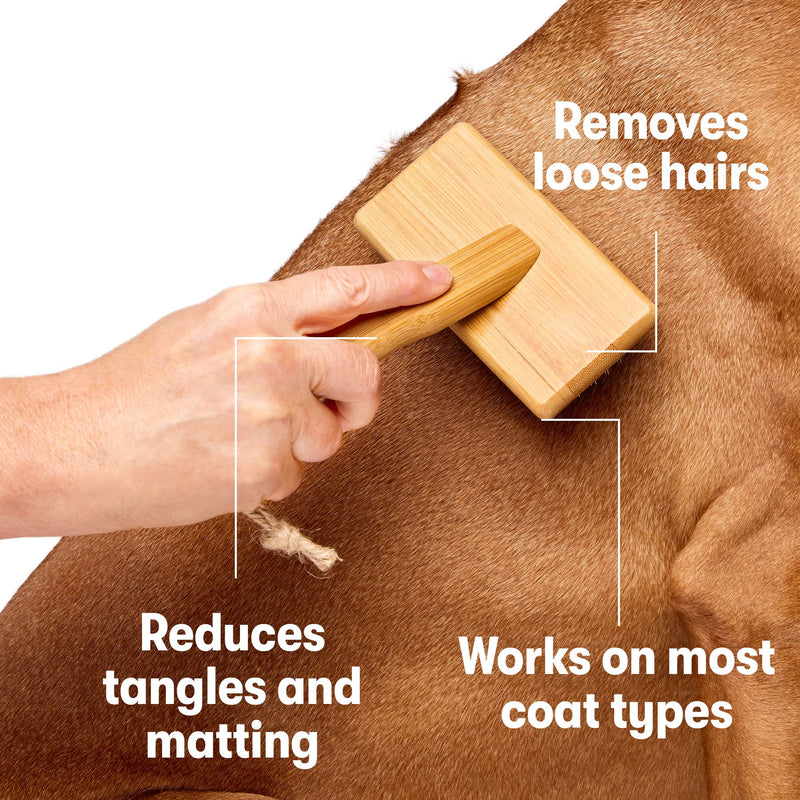 DOG by Dr Lisa - Slicker Brush - Short Bristle Brush for Dogs - For Most Dog Coats - Made from Sustainable Bamboo - Vet-Created - Small