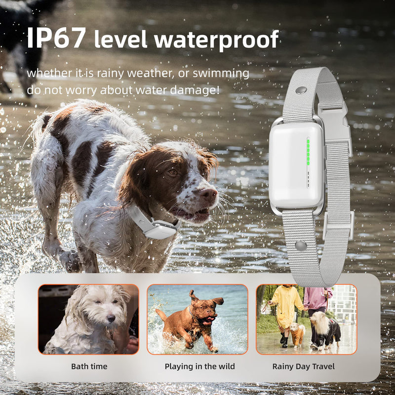 Recording Dog Shock Collar Waterproof Rechargeable E-Collar for Dogs with 16 Levels Beep Vibration Shock Electric Dog Training Collar with Remote - PawsPlanet Australia