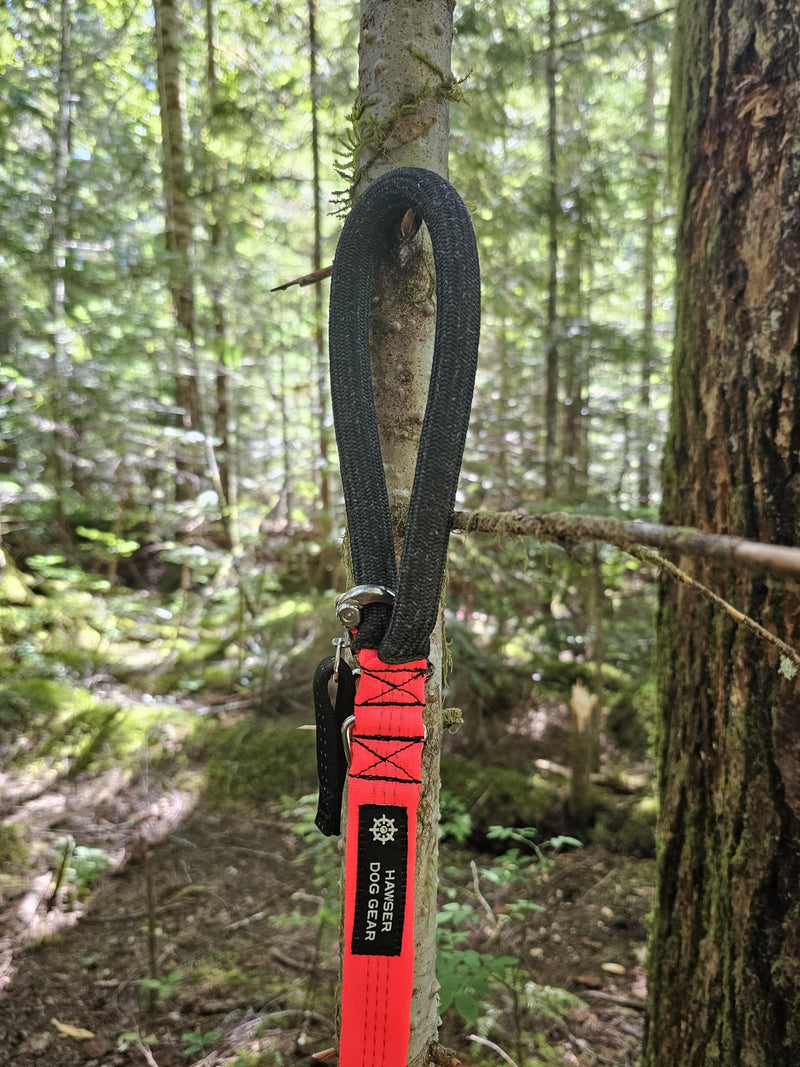 Heavy-Duty 6ft Dog Leash – Quick Release Snap, Dyneema Handle, Waterproof, 316 Stainless, Handmade USA (Hunter Green) Hunter Green - PawsPlanet Australia