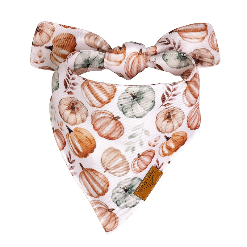 Remy+Roo Fall Dog Bandanas 4 Pack - Amber Set, Premium Durable Polyester Fabric, Patented Curved Design, Adjustable Fit for Small, Large, and XL Dogs, Trendy Patterns, Dog Fall Bandanas (Small) - PawsPlanet Australia