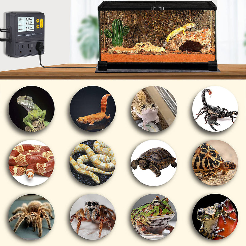 DIGITEN Reptile Temperature Controller with Timer Day-Night,3-Stage Outlet Thermostat Cooling Heating Mode Temperature Controlled for Ball Pythons,Mushroom,Fermentation,Bearded Dragon - PawsPlanet Australia
