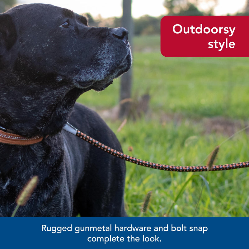 Coastal Pet K9 Explorer Reflective Braided Rope Snap Dog Leash - Heavy-Duty Leash - Comfortable & Secure Grip - Reflective Cord & Rugged Gunmetal Hardware - Orchid, 06' - PawsPlanet Australia