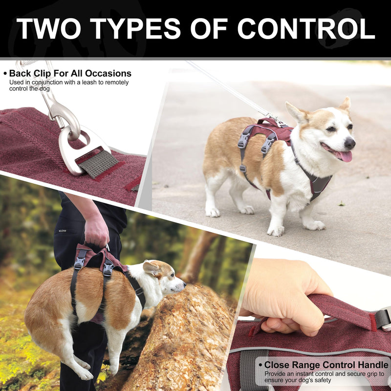 Escape Proof Dog Harness Medium Sized Dog, Reflective No Pull Dog Vest with Handle, Lightweight Full Body Pet Harness Adjustable for Walking,Training(Maroon,Chest:17-32") M: Chest 17-32", Fit 25-55 lbs Maroon - PawsPlanet Australia