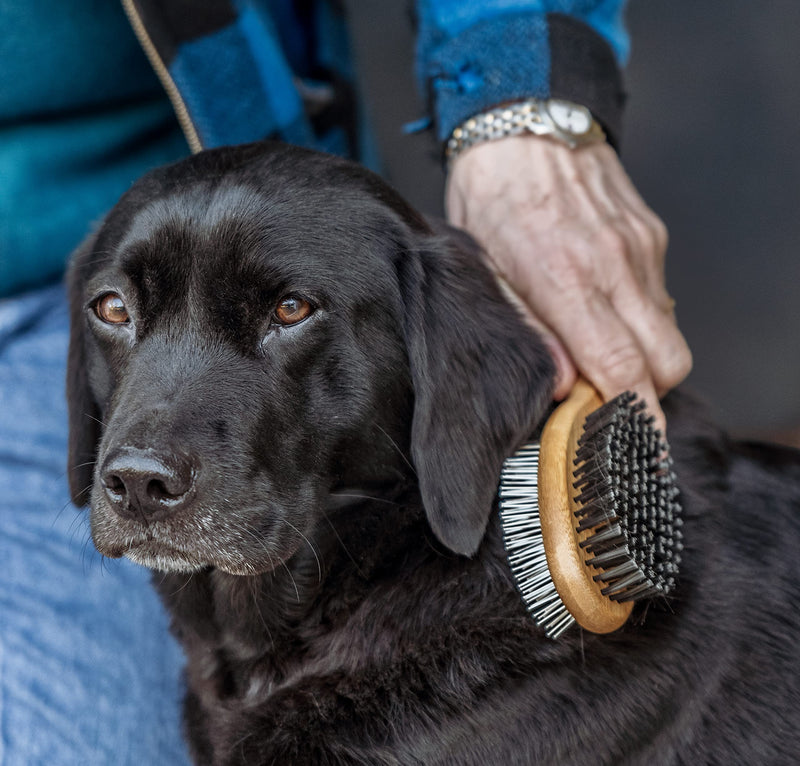 Mikki Bamboo Combi Brush, for Grooming Dog, Cat, Puppy with Smooth Short and Medium Hair Coats, Handmade from Natural Sustainable Bamboo, Large, brown L (Pack of 1) Single