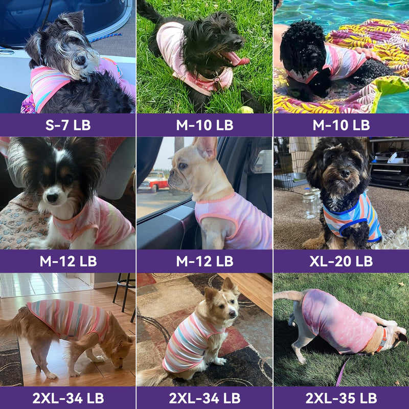 cyeollo 2pack Dog Cooling Shirt, Breathable Sleeveless Summer Clothes for Dogs, Intant Cool T Shirts for Small Dogs, Pink M M-Chest 16"