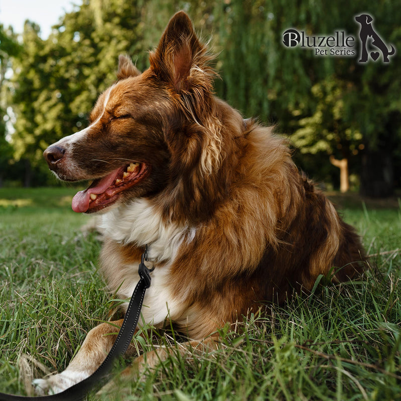 16ft Retractable Leash with Reflector Strips, for Medium & Large Dogs up to 110lb, Extendable Dog Lead Nylon Belt with 360° Snap Hook, Reliable One-Hand Braking System Anti-Slip Grip, Size:L L