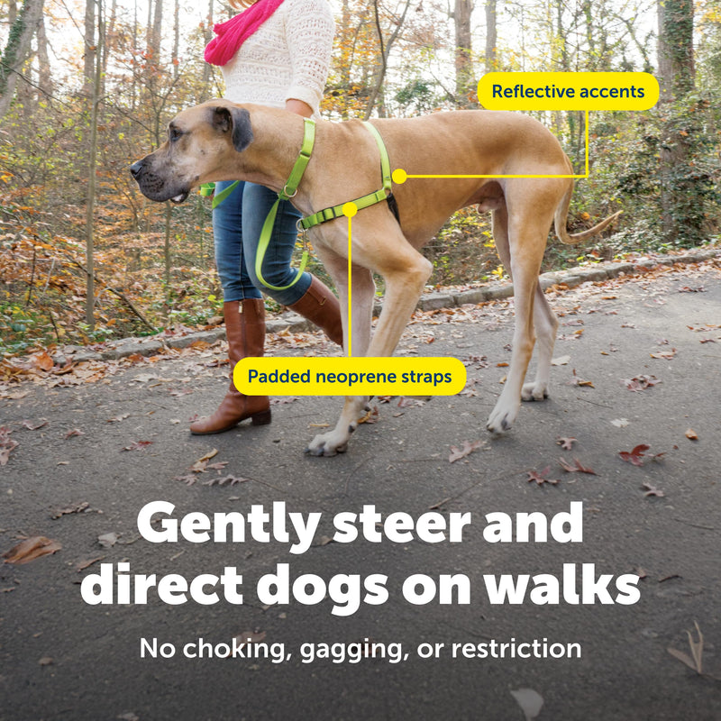 PetSafe Easy Walk Deluxe Dog Harness, No Pull Dog Harness – Perfect for Leash & Harness Training – Stops Pets from Pulling and Choking on Walks – Large, Apple Large (Pack of 1) Apple Green - PawsPlanet Australia