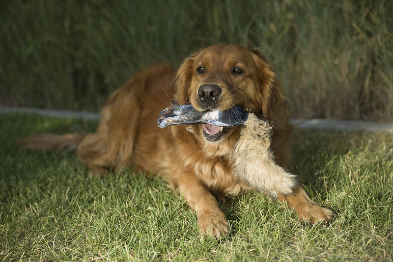 Browning Pet Toys, Durable Dog Toys for Tug and Fetch Squirrel Squeaker Toy