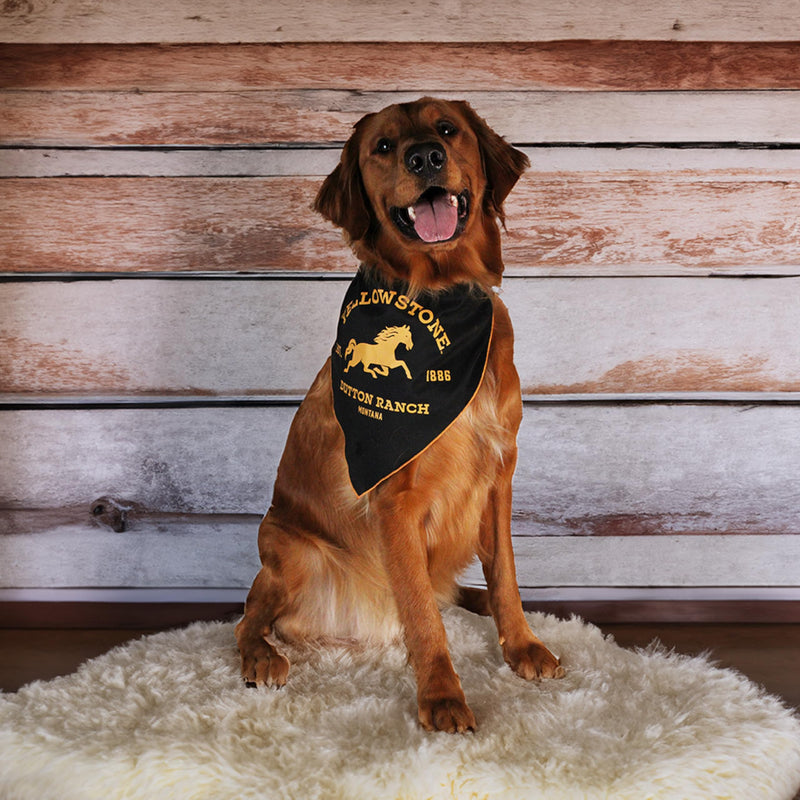 design LAB, Inc. Yellowstone Official Merchandise | Dog Toy and Western Accessories Bandana Set | Plush Stuffed Animal Bison & Bandanas Set