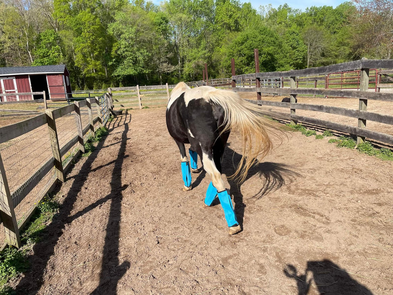 Horse Fly Boots, Fly Boots for Horses Set of 4, Breathable Mesh Horse Leggins Reduce Stomping & Foot Fatique Pet Supplies (4Pack/Blue) 4Pack-Blue