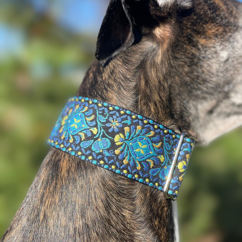 Martingale Dog Collar for Greyhound Saluki Whippet and Other Breeds with Similar Neck 2" Wide (11"-14") Matching Leash Available M 11"-14" - PawsPlanet Australia