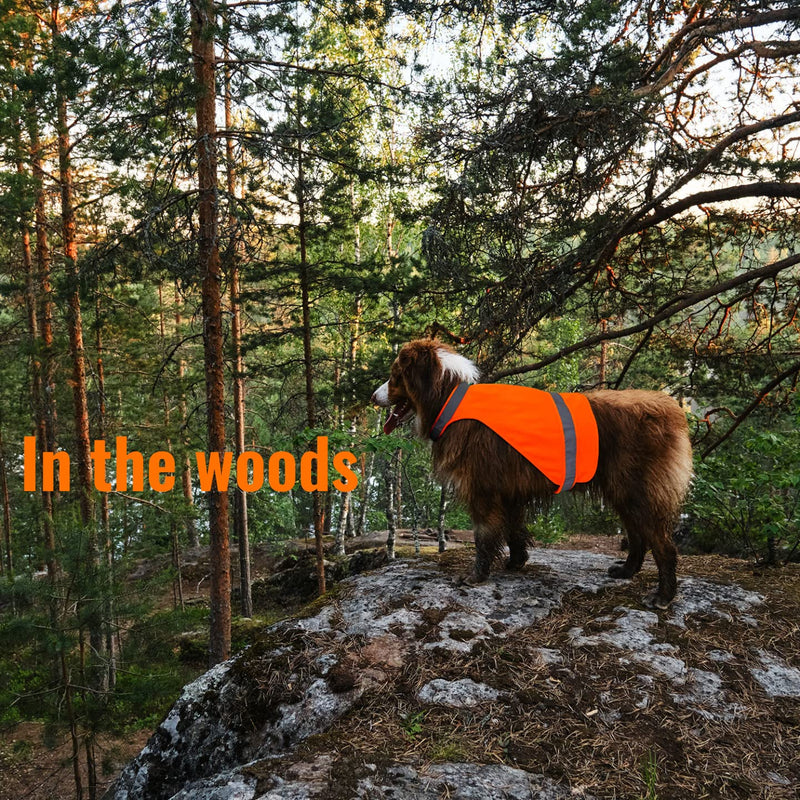 Dog Hunting Vest Blaze Orange Outdoor Safety Dog Vest High Visibility Reflective Dog Vest for Dogs Avoid Mistaken of Hunter, Prefect Accessories for Dog Walking,Hunting,Camping,Out Door Activities. L - PawsPlanet Australia