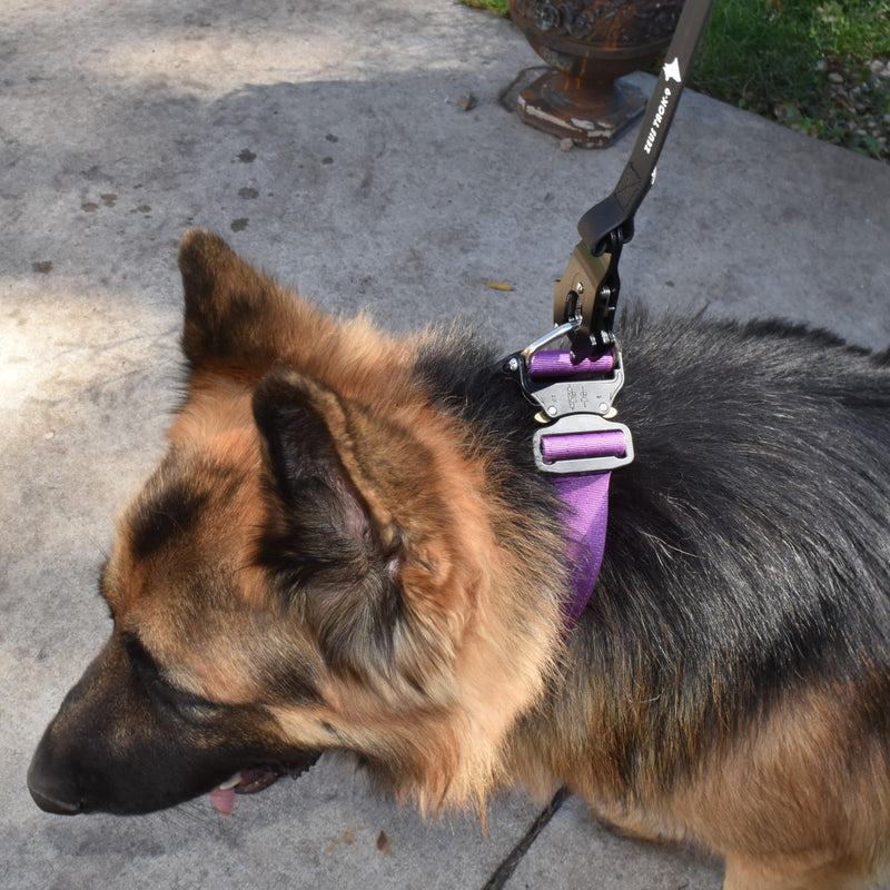 Heavy Duty Waterproof Dog Leash - Large Scissor Frog Quick Release Clasp, PVC Rubber Coated Nylon Training Lead for Large and X-Large Dogs, Odor Free, Durable, Easy to Clean, Nonslip Grip, Secure Hold 10FTLG BLACK PVC