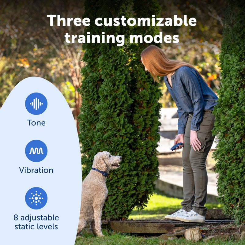 PetSafe Basic Dog Trainer with Remote - Effective Dog Training - 19 Levels of Static Correction - Waterproof Collar - Rechargeable Training Collar - Compact Remote Transmitter Basic Trainer - PawsPlanet Australia