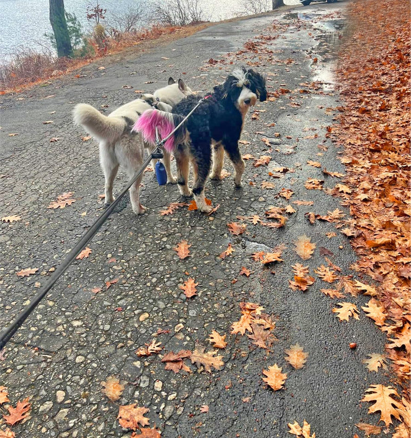 Double Dog Leash Coupler, Extension Rope for Two Dogs, No Tangle Dual Dog Lead Splitter for Large Medium Dogs Over 40 lbs (1/2" X 33"- Pinkblue) Large (1/2"D x 33"L)