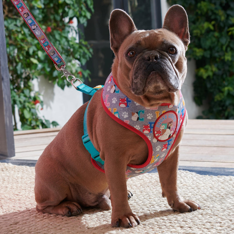 Squishmallows Original Squad Goals Pet Harness (Small) - Official Jazwares Pets Apparel Small - PawsPlanet Australia