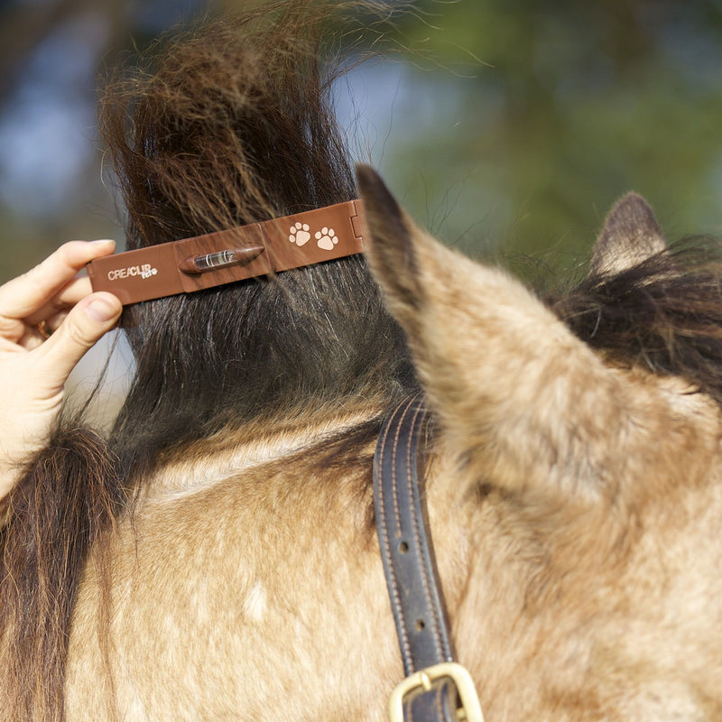 Pet - Quiet Dog Cat Horse Pet Grooming Kit - Low Noise Pet Grooming Clip Cordless for Sensitive Pets - PawsPlanet Australia