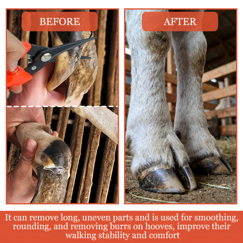 Goat Hoof Trimmers,Professional Hoof Care Trimming Shears Nail Clippers for Sheep,Goats,Alpaca,Lamb,Horse,Pig Hooves Multi-Purpose Pruning Versatile Steel Trimmer for Twig and Floral Scissor Tool - PawsPlanet Australia