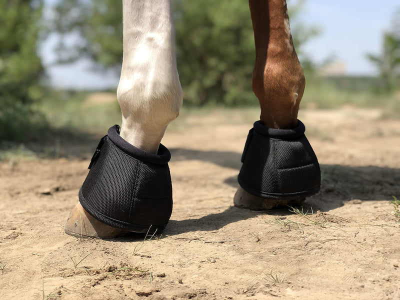 TGW RIDING 2520D Horse Bell Boots No-Turn Horse Bell Boots, Equine Ballistic Hoof Overreach Bell Boot, Pair Black Large - PawsPlanet Australia