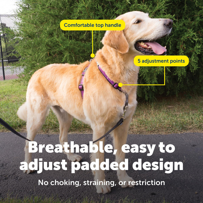 PetSafe 3-in-1 Harness - Comfortable Easy-Walk Dog Chest Harness with Front Leash Attachment to Reduce Pulling, Choking & Gagging - Dog Obedience Gear - Large - Plum Large (Pack of 1)