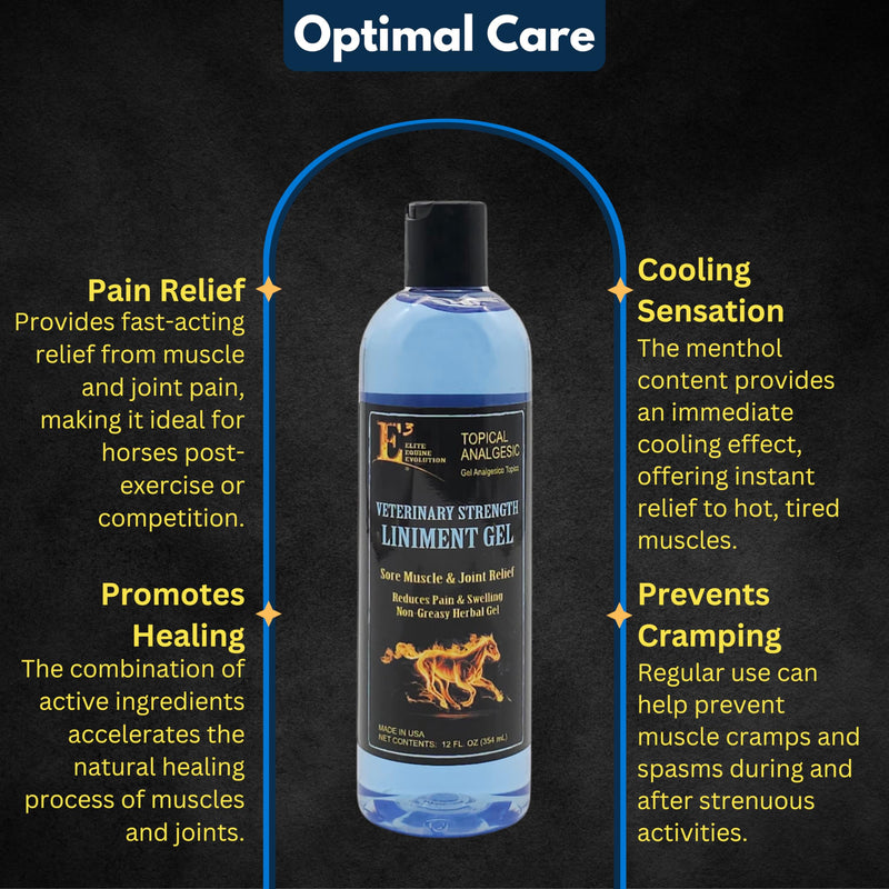 E3 Veterinary Strength Liniment Gel for Sore Muscle & Joint Relief - Reduces Pain & Swelling - Horse Liniment for Humans & Pets - Arthritis Aid - Non-Greasy Herbal Formula- Topical Analgesic (Two) 2 Count (24 fl oz)