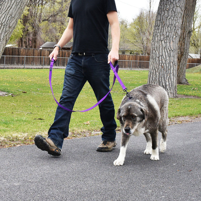 Wagtime Club Double Handle Dog Leash, 6ft Long Heavy Duty Dog Leash with Paded Traffic Handles for Extral Control and Training, Dual Handles Leads, Large Medium Small Dogs (Reflective Vibrant Purple) Reflective Vibrant Purple - PawsPlanet Australia