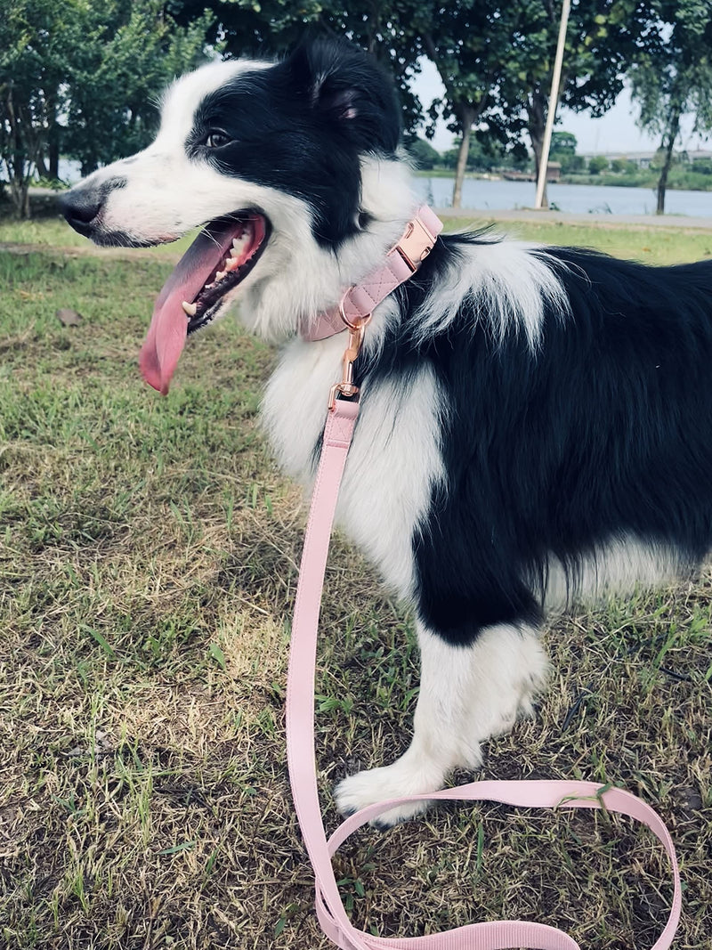 Dog Collar and Leash Set.Soft and Easy to Clean Vegan Leather with Rose Gold Metal Buckle for Small Medium Large Dogs (Pink, L(15.4”-24.8“) Pink L(15.4"-24.8"）