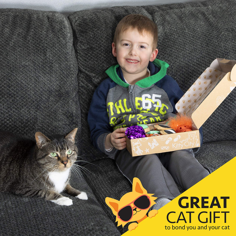 Kitty City Basic Cat Toy Box, Brown - PawsPlanet Australia