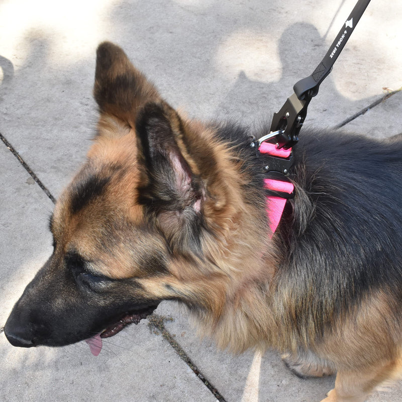 Heavy Duty Waterproof Dog Leash - Large Scissor Frog Quick Release Clasp, PVC Rubber Coated Nylon Training Lead for Large and X-Large Dogs, Odor Free, Durable, Easy to Clean, Nonslip Grip, Secure Hold 3FTSM BLACK PVC - PawsPlanet Australia