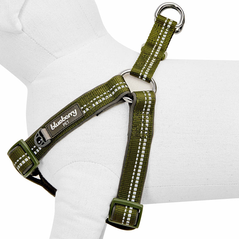 Blueberry Pet Soft & Comfy 3M Reflective Step-in Pastel Color Padded Dog Harness, Chest Girth 16.5" - 21.5", Olive Green, Small, Adjustable Harnesses for Dogs (16.5" - 21.5") Chest Girth (Pack of 1) - PawsPlanet Australia