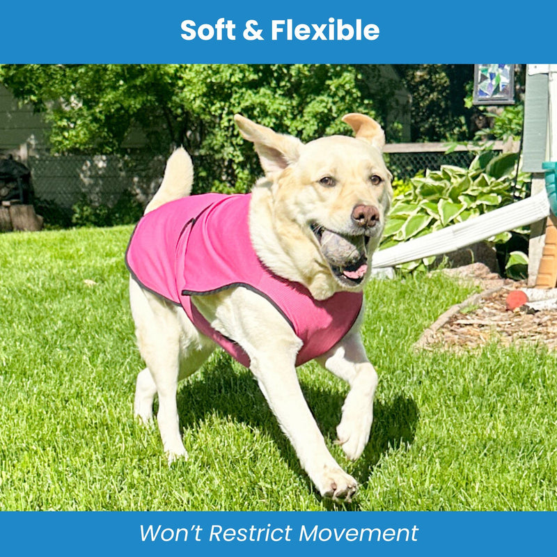 Dog Cooling Vest – Lightweight Evaporative Shirt with UV Protection for Small, Medium, and Large Dogs – Breathable Soft Fabric for Hot Weather (M, Rose Pink) - PawsPlanet Australia