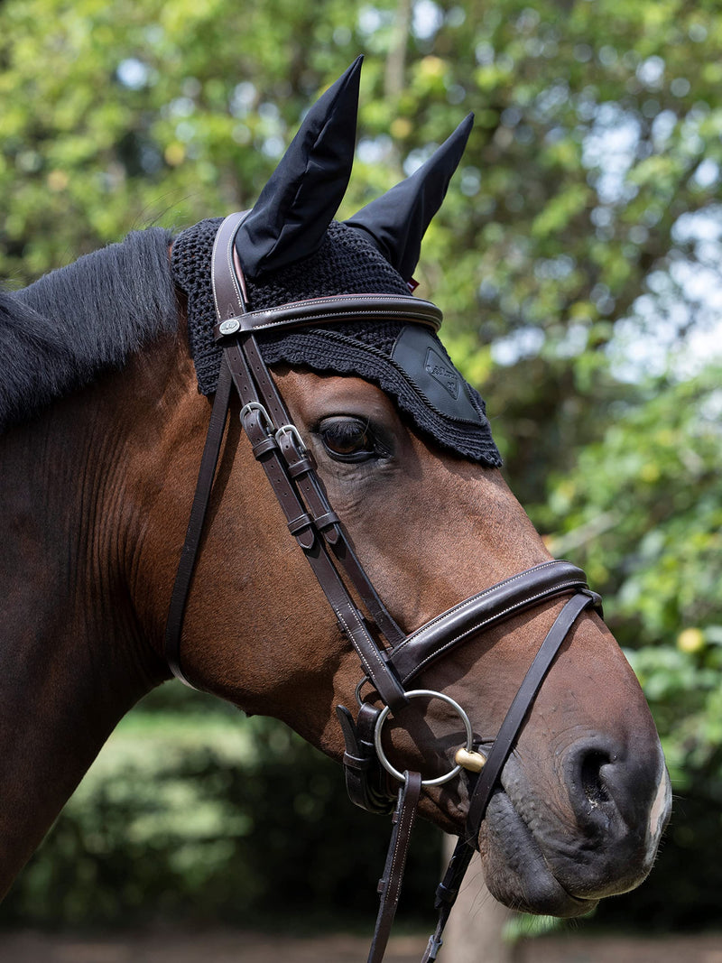 Acoustic Pro Ear Bonnet Black Large - PawsPlanet Australia