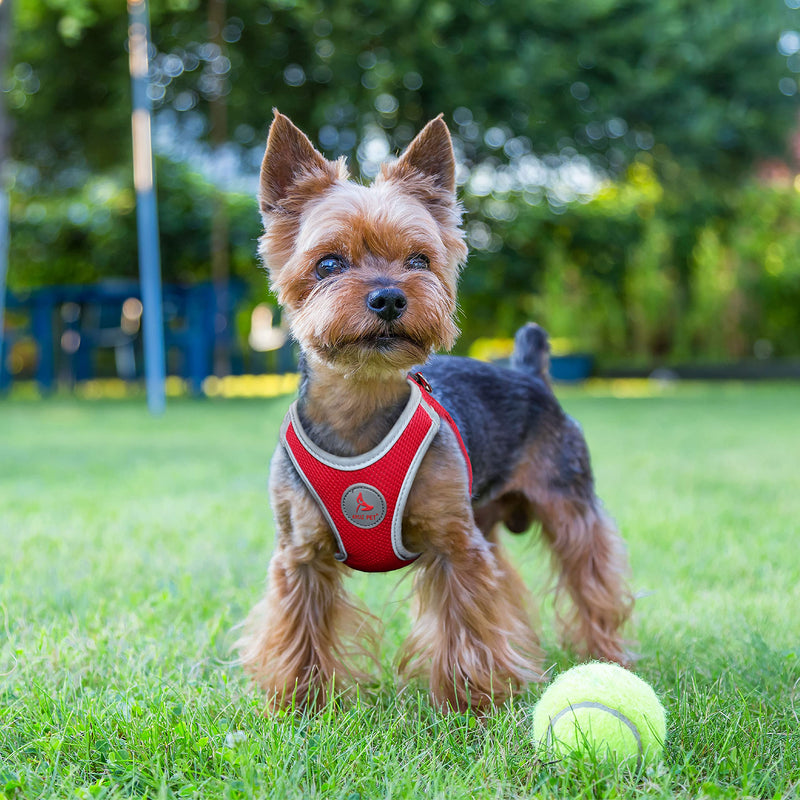 Kruz PET KZA306 Reflective Mesh Dog Harness, No Pull, Quick Fit, Comfortable, Adjustable Pet Vest Harnesses for Walking, Training, Small, Medium Dogs Orange - PawsPlanet Australia