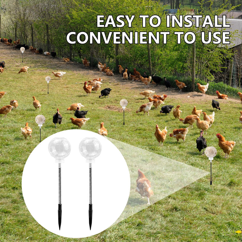 2PC Chicken Pecking Toy, Poultry Enrichment Feeder Toys, Slow Feeder Ball & Coop Activity Toys Courtyard Outdoor Decoration for Hens & Birds, Chicken Coop Accessories to Prevent Boredom - PawsPlanet Australia