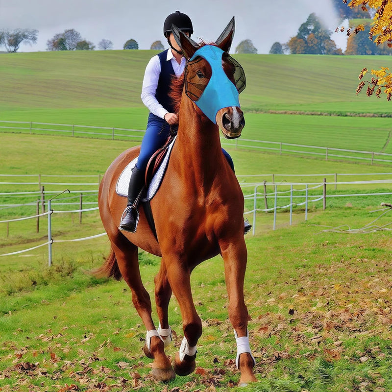 Horse Fly Boots & Horse Fly Mask Set of 5, Mesh Ventilated Fly Boots for Horses, Adjustable and Universal Fit for 4 Legs, Comfort Fly Masks for Horses, Stomp-Reducing (Blue)
