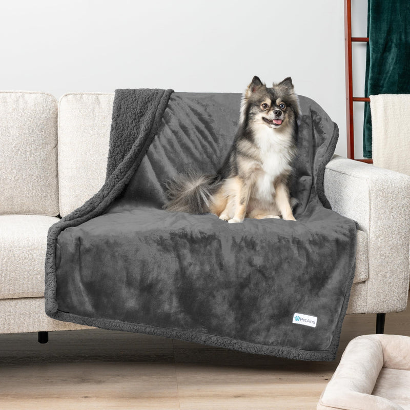 PetAmi Waterproof Dog Blanket for Medium Large Dog Puppy Cat Throw for Couch Cover Leakproof Protection, Sherpa Fleece, Reversible Soft Washable 60x40 Gray Gray Large 60 x 40 Inches Gray/Gray Sherpa - PawsPlanet Australia