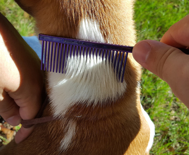 Resco Professional Anti-Static Dog, Cat, Pet Comb for Grooming, Medium Tooth Spacing, 1-Inch Pins Nickel - PawsPlanet Australia