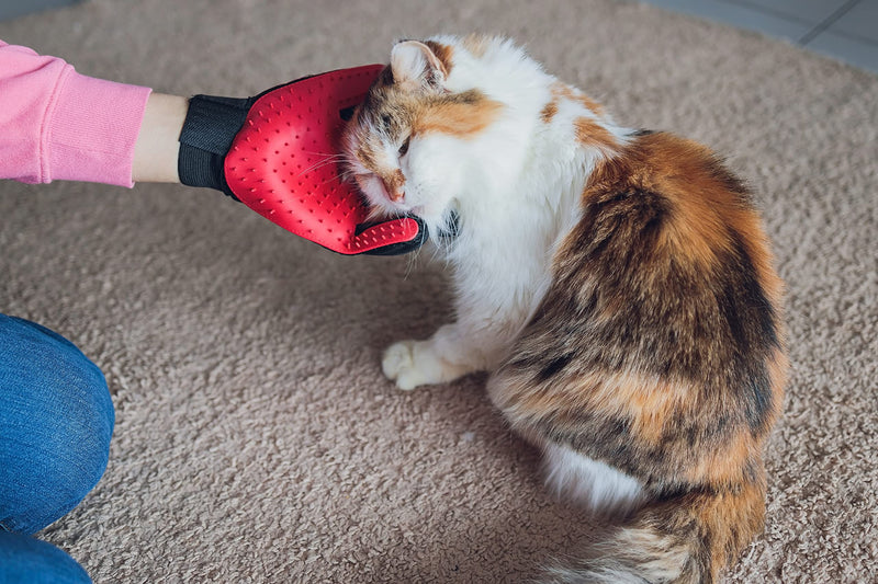 PAIR of Low-Cost Pet Grooming Gloves - Superior Care for Your Furry Friends. Ideal for Grooming, Deshedding, Bathing & Massaging Your Dogs & Cats with Long/Short/Curly Fur - RED - PawsPlanet Australia
