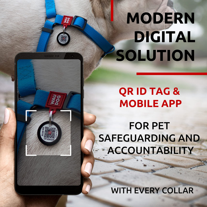 WAUDOG Waterproof Dog Harness and Leash 6 Ft Set - Adjustable, Heavy Duty with Durable Metal Clasp and QR Dog Tag Set: M (20-21") + Leash 6 Ft Blue - PawsPlanet Australia