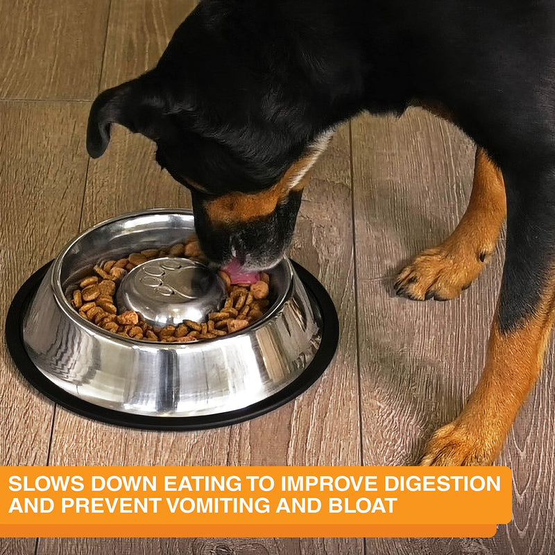 Neater Pet Brands Stainless Steel Slow Feed Bowl - Non-Tip & Non-Skid - Stops Dog Food Gulping, Bloat, Indigestion, and Rapid Eating (3/4 Cup) 3/4 Cup - PawsPlanet Australia
