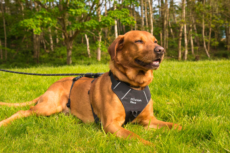 Mountain Paws 3-Strap Dog Harness | To Fit Chest Sizes 46–108cm, With Central Grab Handle And Reflective Piping Black Small - PawsPlanet Australia