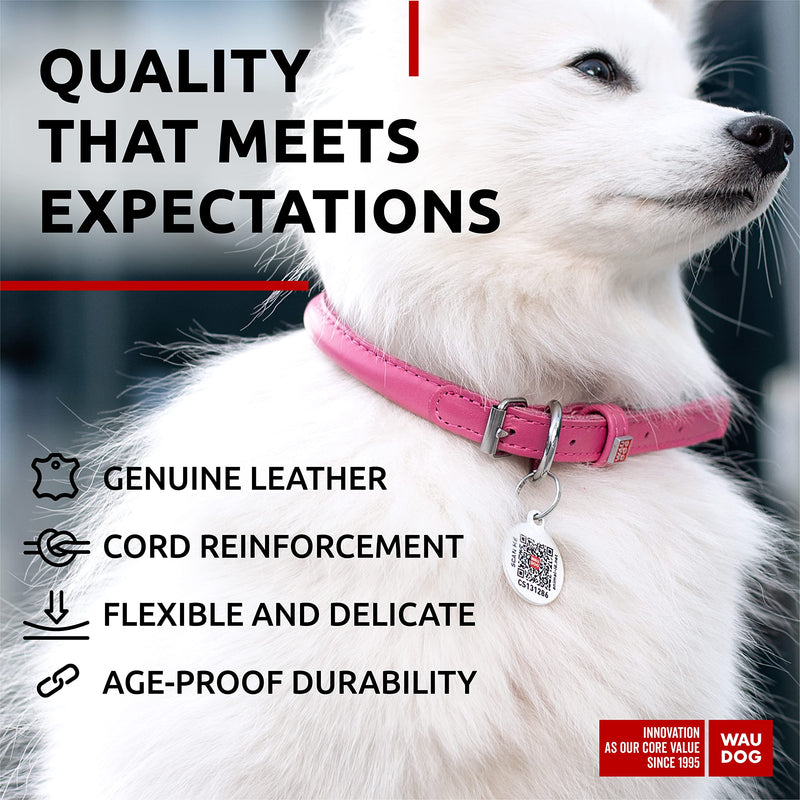 WAUDOG Ultra Soft Rolled Leather Collar - Soft Padded for Small, Medium, and Large Dogs - Puppy Collar for Male and Female Dogs 10" - 13" Neck Pink - PawsPlanet Australia