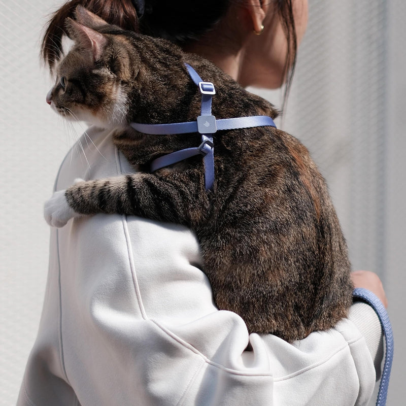 Cat Harness Escape-Proof Anti-Choking Adjustable Nylon Harness Lightweight with Anodized Aluminum Buckle, Ideal for Cats Outdoor Walking and Training, IDA Award (Blush Pink, S (13.8")) S (13.8") Blush Pink - PawsPlanet Australia