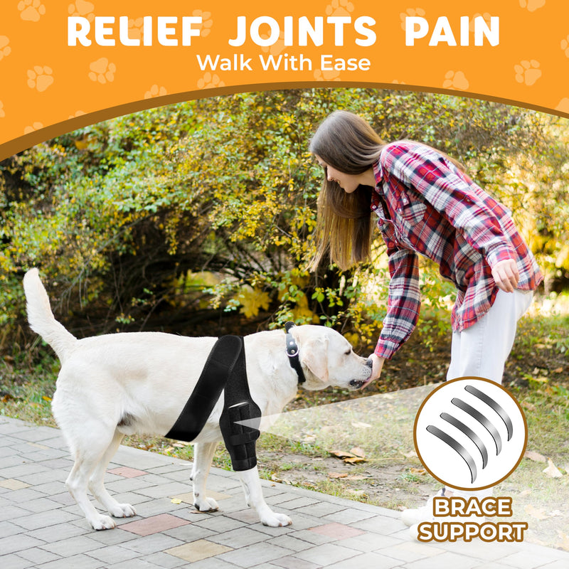 New Dog Knee Brace for Luxating Patella, ACL or Cruciate Ligament Injury Recovery, Osteoarthritis, Hip Dysplasia, or Arthritis Pain Relief, Flexible Spring Support (Large) Large
