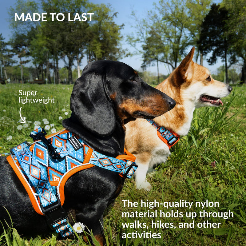 CollarDirect No Pull Reflective Dog Harness with Handle and Front Clip, Adjustible Soft Padded Vest for Small to Large Dogs Training and Walk (Size M, Pattern PT3) - PawsPlanet Australia