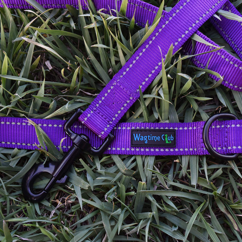 Wagtime Club Double Handle Dog Leash, 6ft Long Heavy Duty Dog Leash with Paded Traffic Handles for Extral Control and Training, Dual Handles Leads, Large Medium Small Dogs (Reflective Vibrant Purple) Reflective Vibrant Purple - PawsPlanet Australia