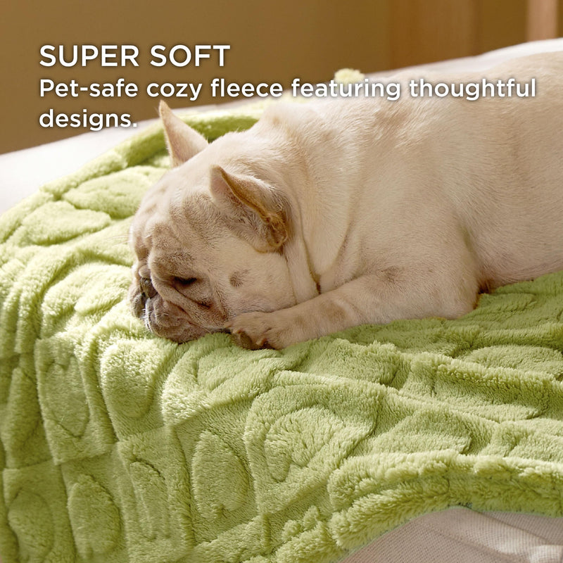 Bedsure Dog Blanket for Medium Dogs Washable - Fluffy Fuzzy Puppy Cat Blanket with Premium 300GSM Coral Fleece Soft for Pet Kitten Doggy, Green, 30x40IN Lint Heart M(30x40") - PawsPlanet Australia