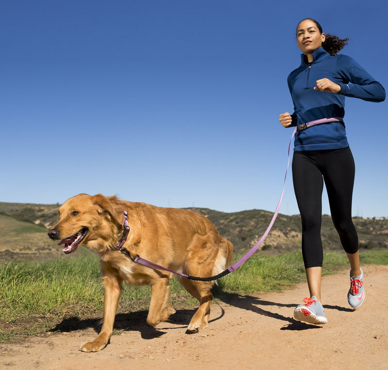 HALTI Active Lead Size Large, Red, Award-Winning Bungee Dog Lead, Shock-Absorbing Anti-Pull Dog Leash, All-in-One Neoprene Padded Belt & Lead, Perfect for Running & Training with Medium & Large Dogs